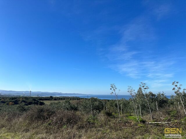 3-ÇANAKKALE BİGA KEMER KÖYÜNDE DENİZ MANZARALI PROJELİK SATILIK ARAZİ